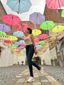 medellin viajeconflores