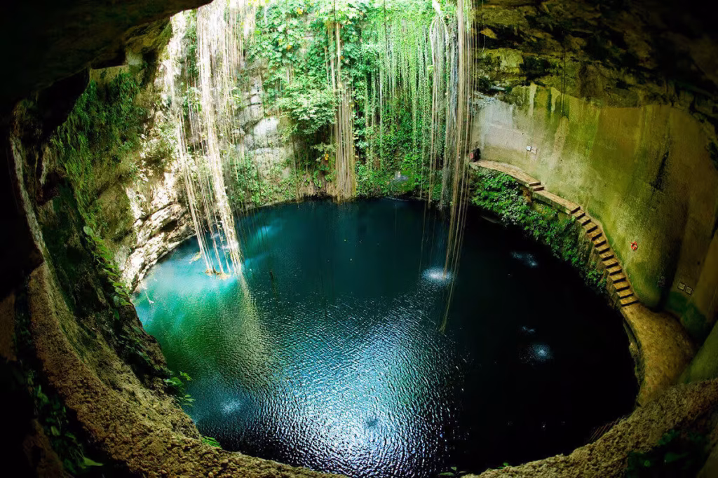 cenote viajeconflores